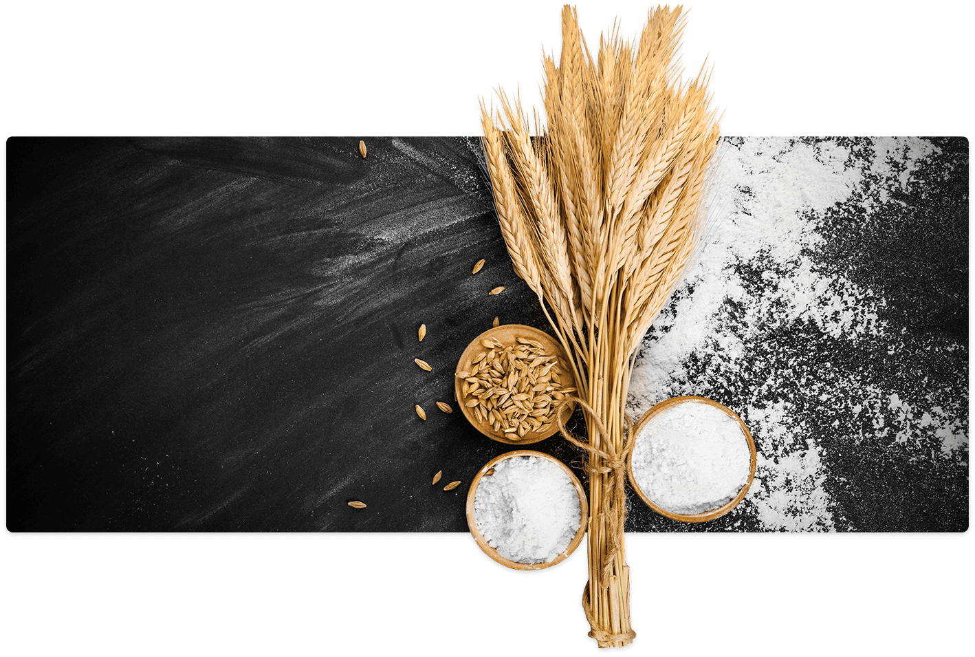 impianti-industria-alimentare-canol